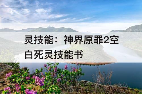 灵技能：神界原罪2空白死灵技能书