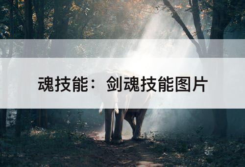 魂技能：剑魂技能图片