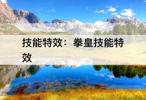 技能特效：拳皇技能特效