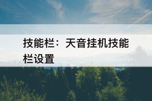 技能栏：天音挂机技能栏设置