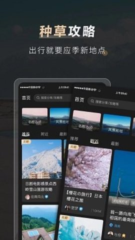 他陪旅行APP 3.7.8 安卓版