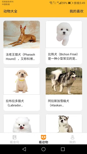 口袋乐看app  v1.6.0图2