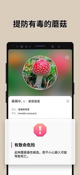 蘑菇识别扫一扫手机版  v2.9.17图2