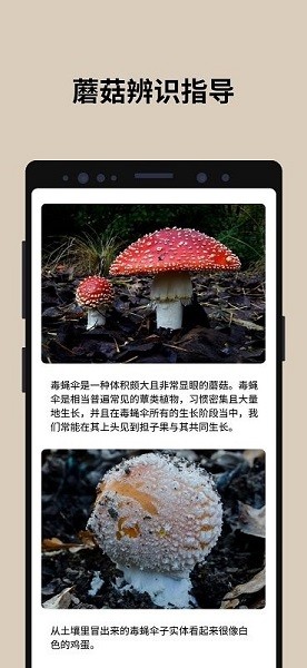 蘑菇识别扫一扫2023  v2.9.17图3