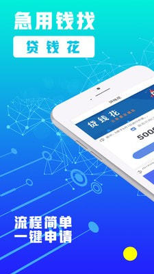 常青树贷款app  v1.0图1