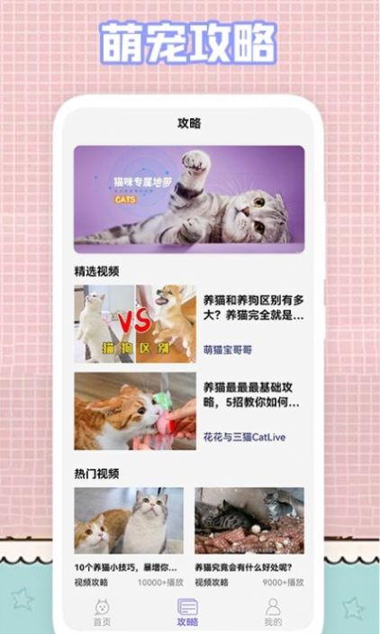 我的猫咪壁纸  v1.1图3