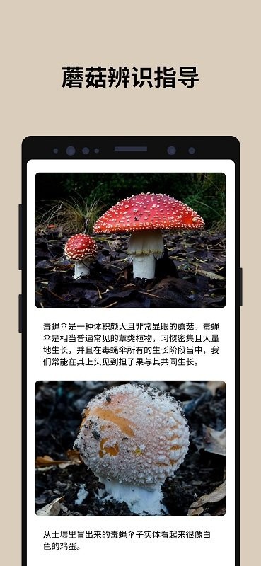 蘑菇识别app