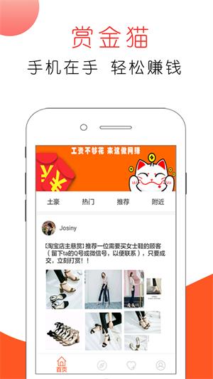 赏金猫2024  v3.0图1