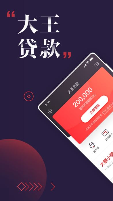 大王贷款app下载苹果版  v1.1.0图4