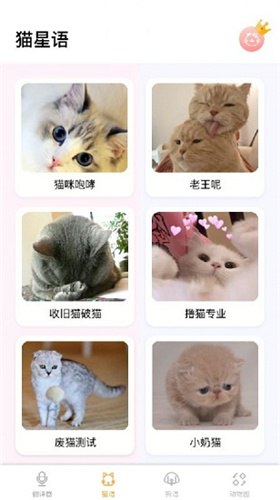 猫语翻译大师  v1.0.2图2