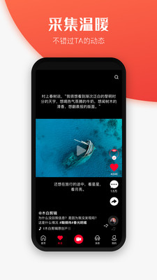 世子播播2024  v1.1图3