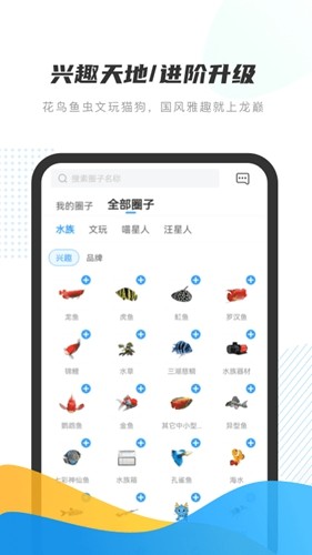 龙巅  v6.1.4图2