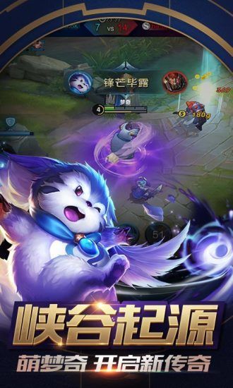 主叶群西瓜助手安卓版  v1.2.3图1