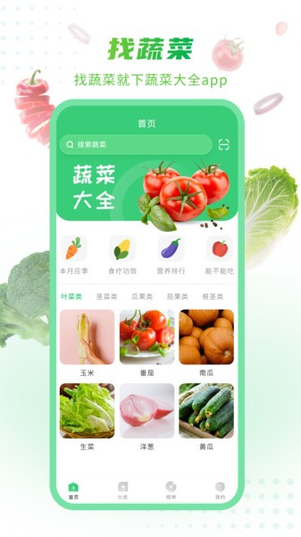 有机蔬菜  v1.0.3图3