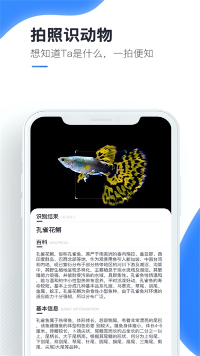 百科扫描王手机版下载免费安装  v1.0.0图1