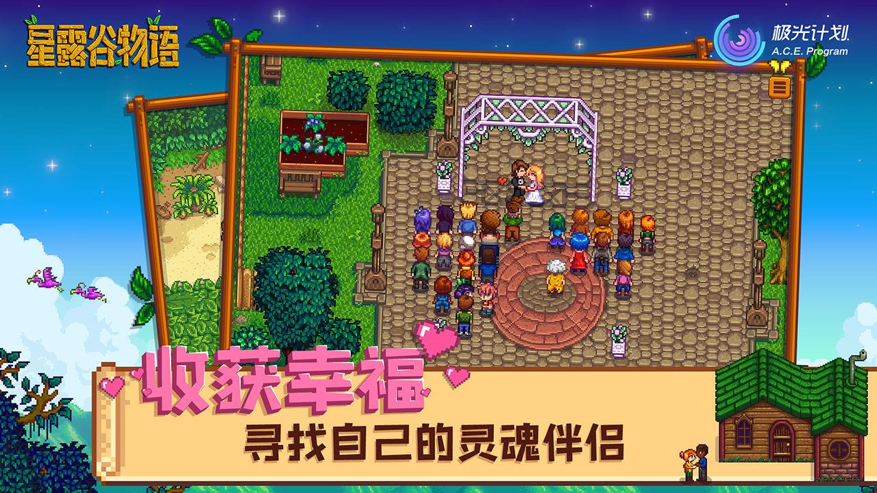 Stardew  v1.5.5图2