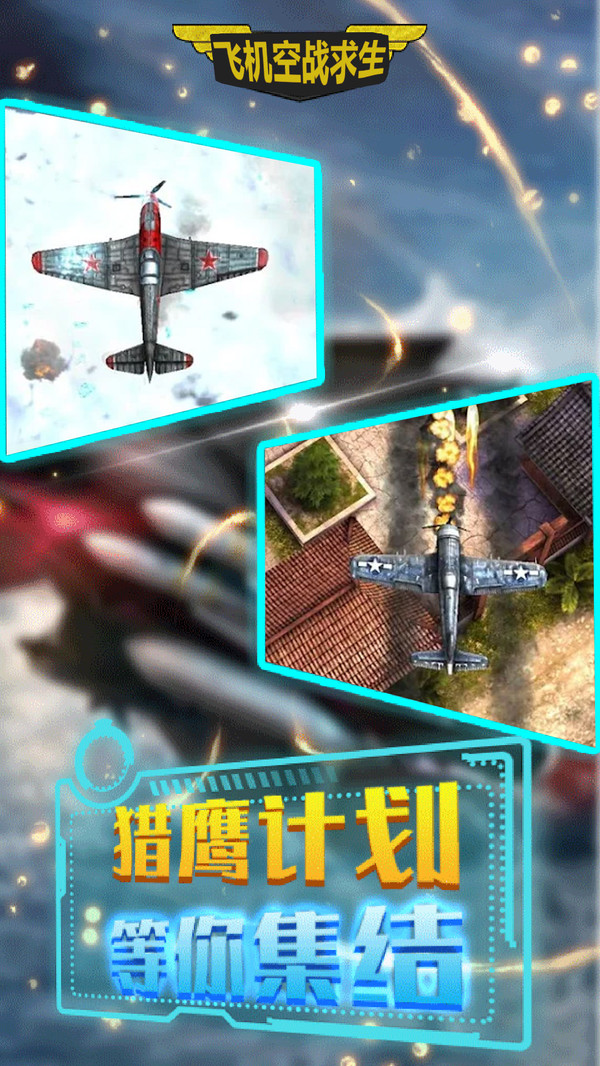 飞机空战求生  v1.0图1