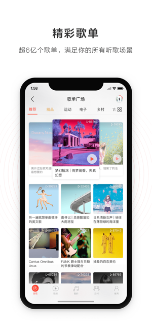 网易云音乐最新版下载安装免费  v1.0.0图3