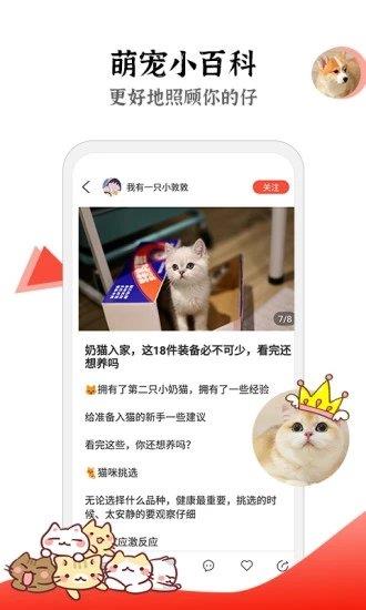 猫猫社  v1.7.40图3