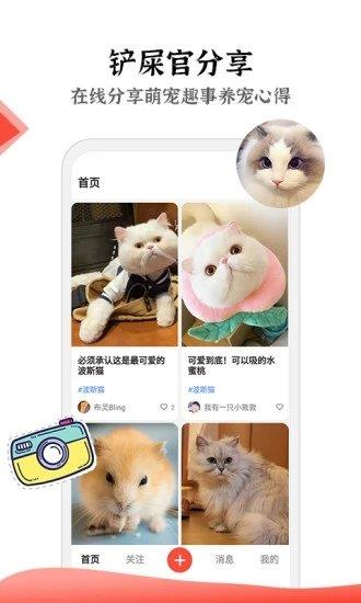 猫猫社