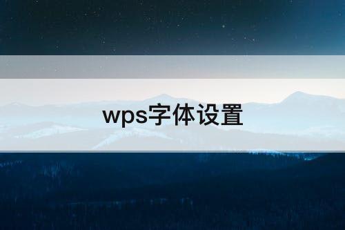 wps字体设置