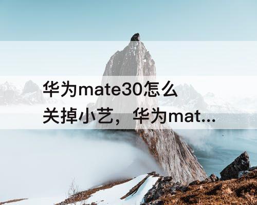 华为mate30怎么关掉小艺，华为mate30怎么关掉小艺屏保设置