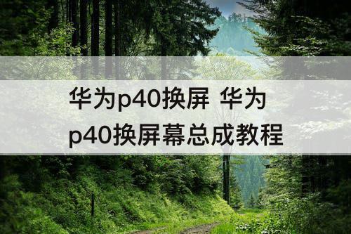 华为p40换屏 华为p40换屏幕总成教程