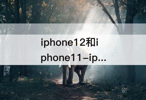 iphone12和iphone11-iphone12和iphone11pro哪个值得买