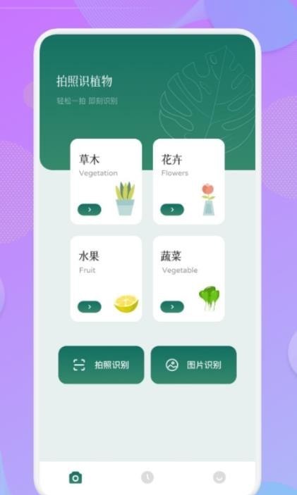 智能识图识物  v1.0.1图1