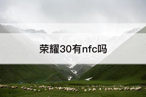 荣耀30有nfc吗