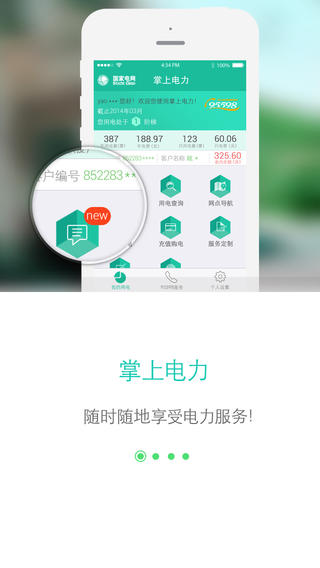 网上国网app官方下载最新版  v2.0.5图2