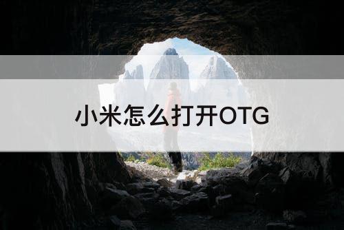 小米怎么打开OTG