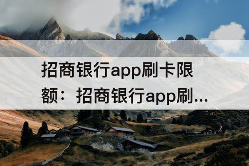 招商银行app刷卡限额：招商银行app刷卡限额怎么调整