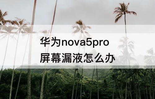 华为nova5pro屏幕漏液怎么办