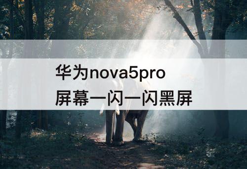 华为nova5pro屏幕一闪一闪黑屏