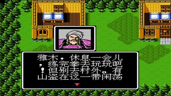 fc游戏索菲亚的复苏改打一回合升一级中文版nes  v4.6.4图2