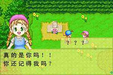 牧场物语金手指gba