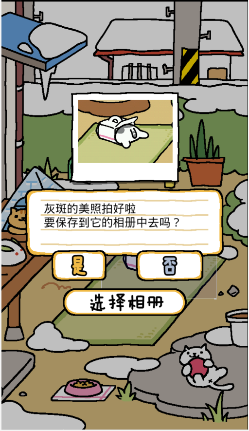 猫咪后院2023